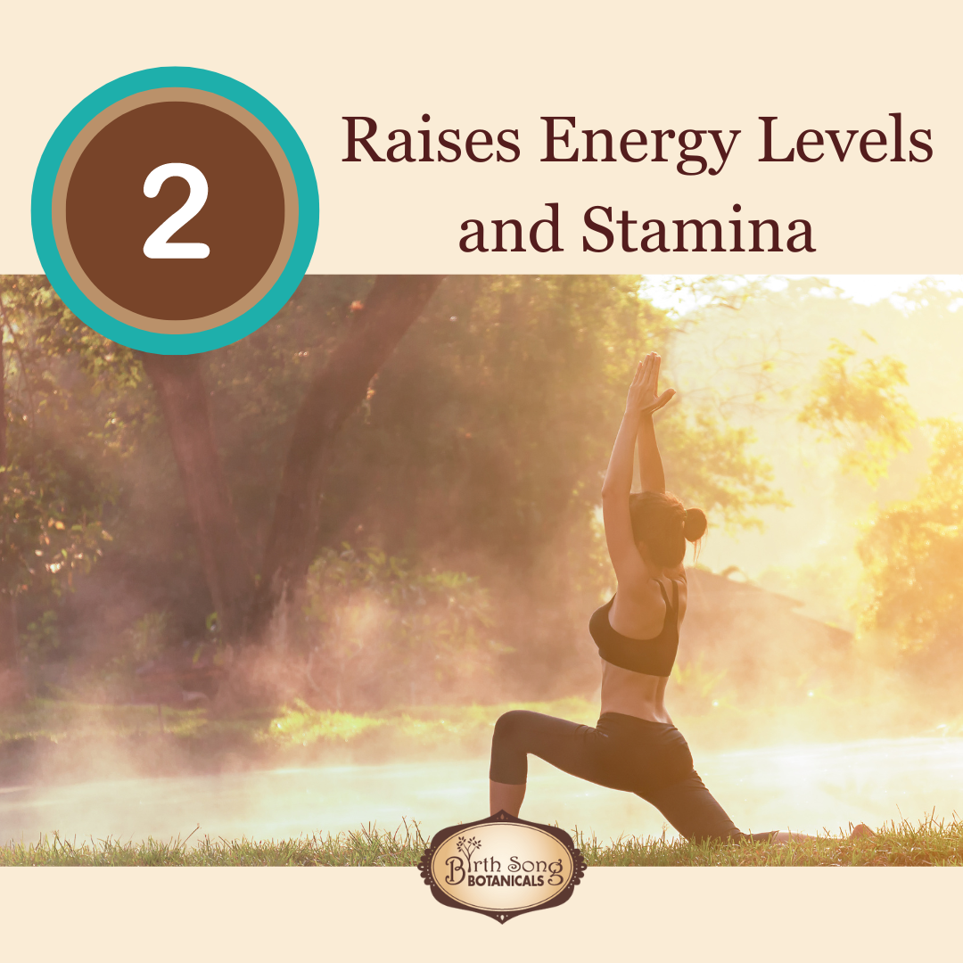 Astragalus Root Complex Immune Support Supplement* - Concordia Style Boutique