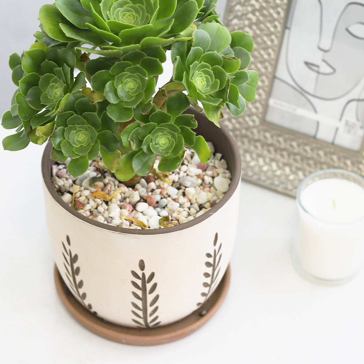 Clay White Vertical Leaf Pattern Pot
