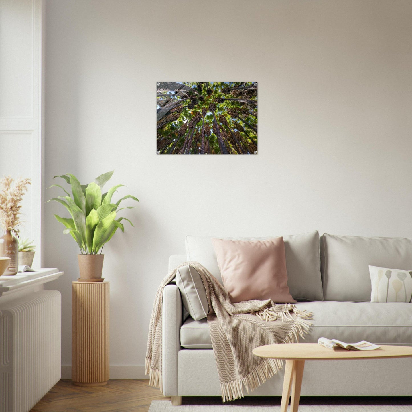 "Under the Canopy: Natural Wonder of Israel" Acrylic Print
