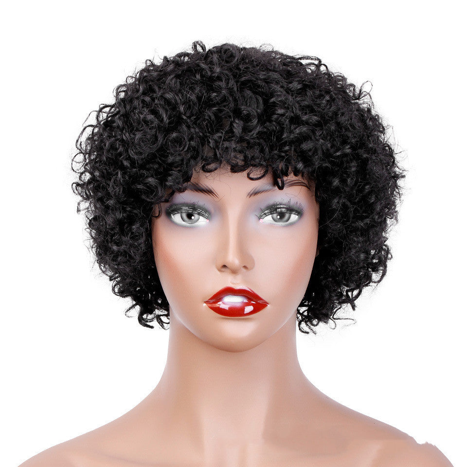 Short Curly Hair Wig - Real Human Hair - Concordia Style Boutique