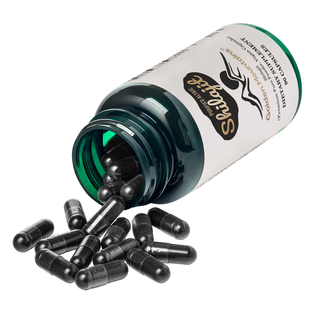 Golden Mountains Shilajit Vegan Capsules – 500mg | 90 Count - Concordia Style Boutique