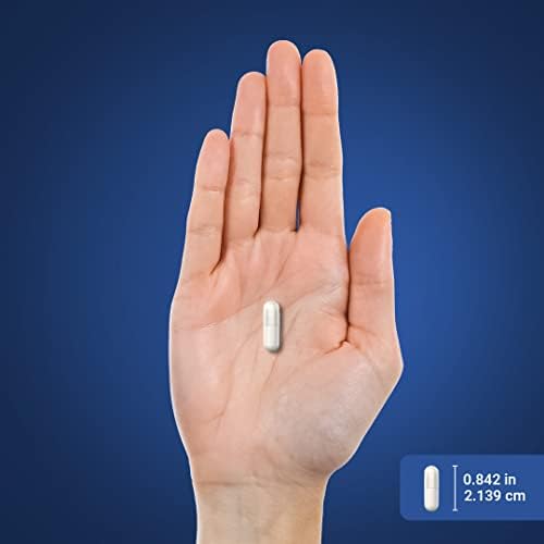 Piping Rock DMG Supplement | B15 | 150 mg | 180 Capsules | Non-GMO, Gluten Free - Concordia Style Boutique