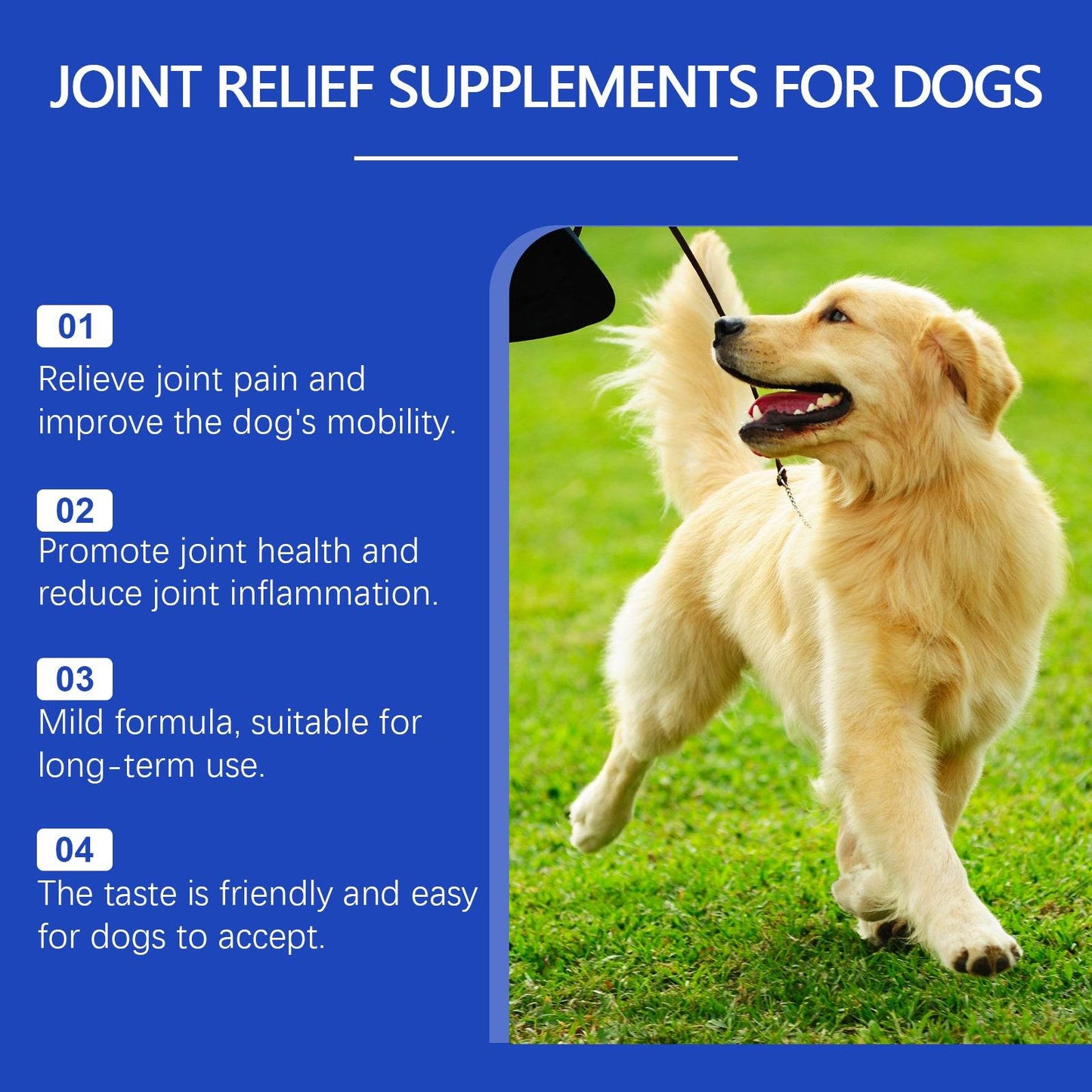 Dog Joint Supplement - Concordia Style Boutique