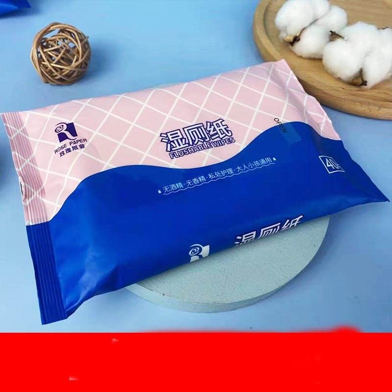 Biodegradable Toilet Cleaning Wet Towel - Concordia Style Boutique