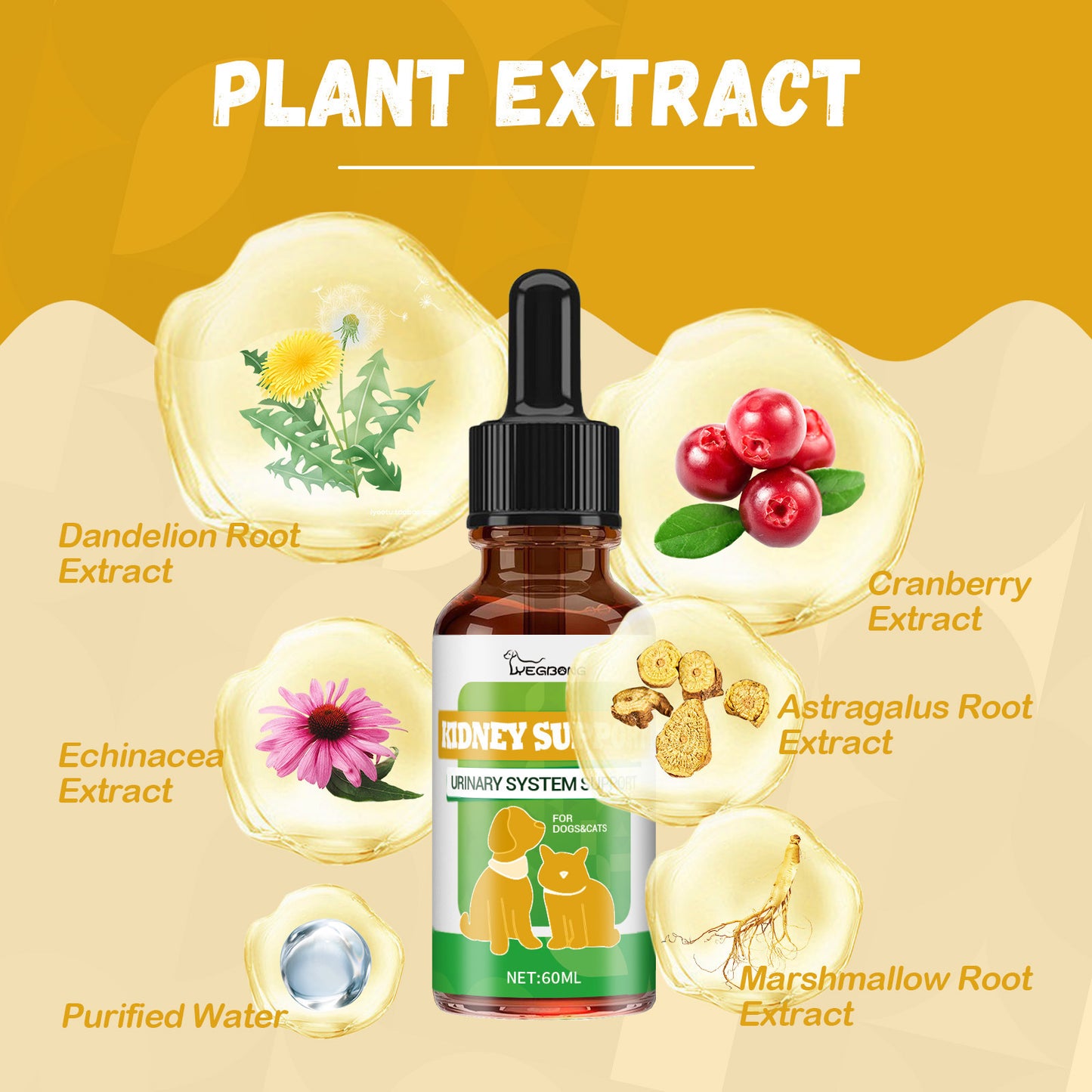 Pet Nutritional Supplements Enhance Energy Vitality - Concordia Style Boutique