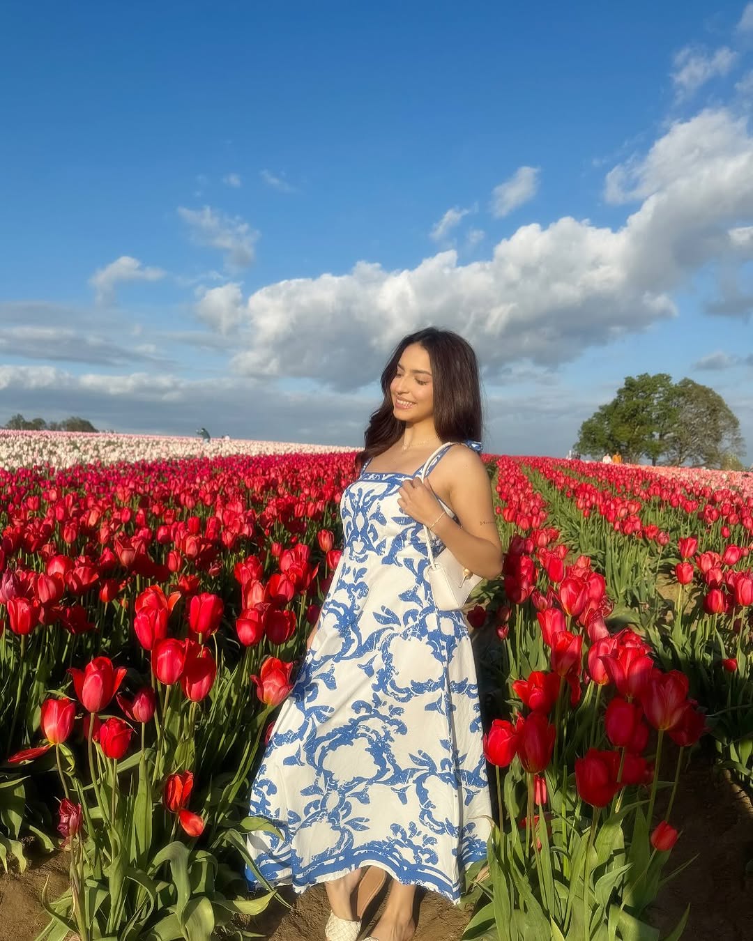 ADAIR PASSPORT TO THE SUN WOVEN MIDI DRESS - Concordia Style Boutique