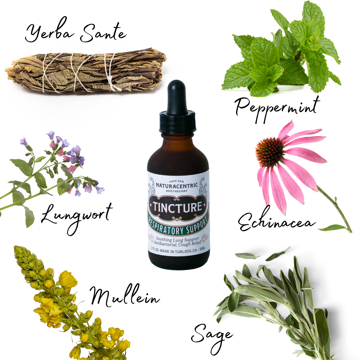 Respiratory Support Tincture - Concordia Style Boutique