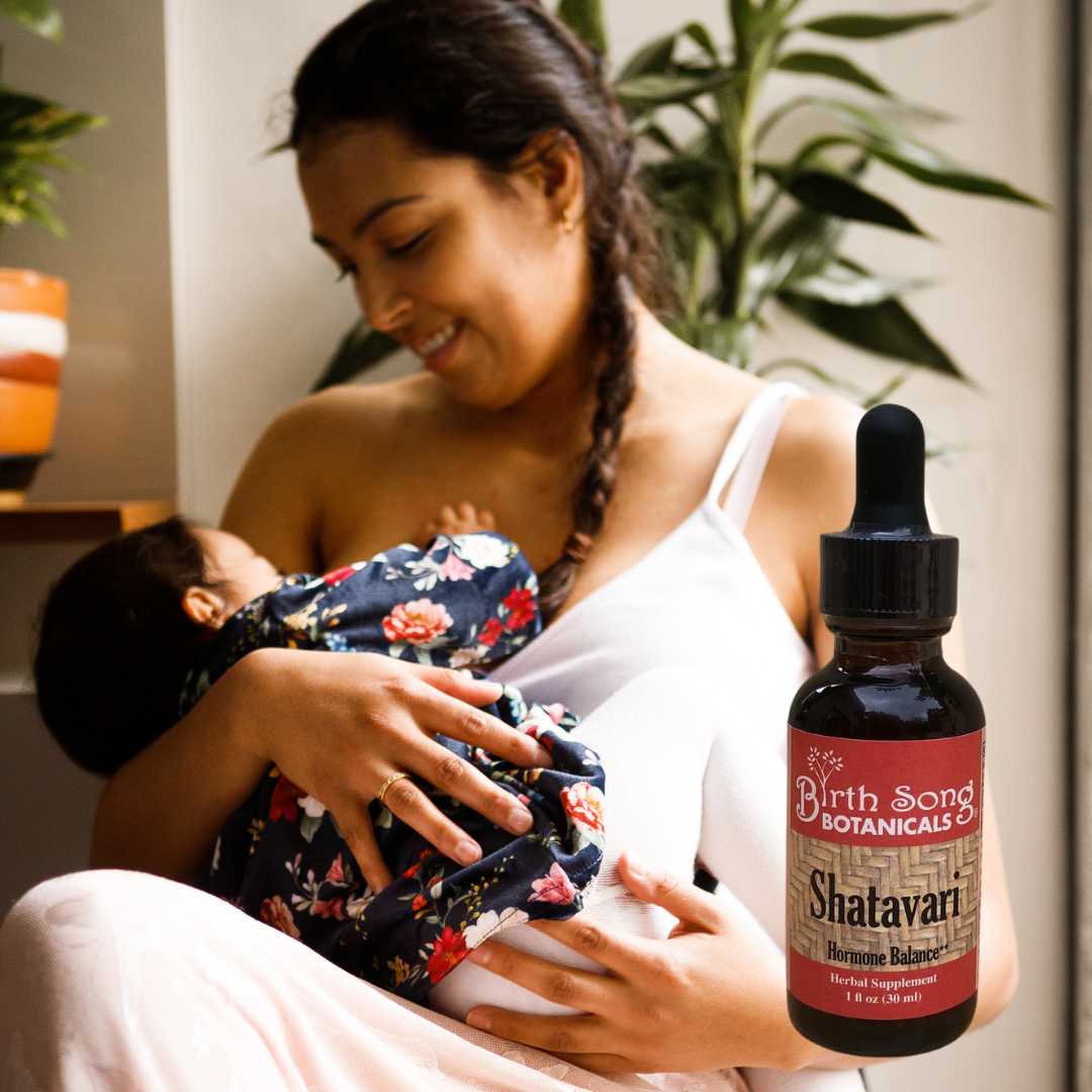 Shatavari Root Tincture Herbal Supplement for Lactation and Hormone Harmony In Women 1 oz. - Concordia Style Boutique