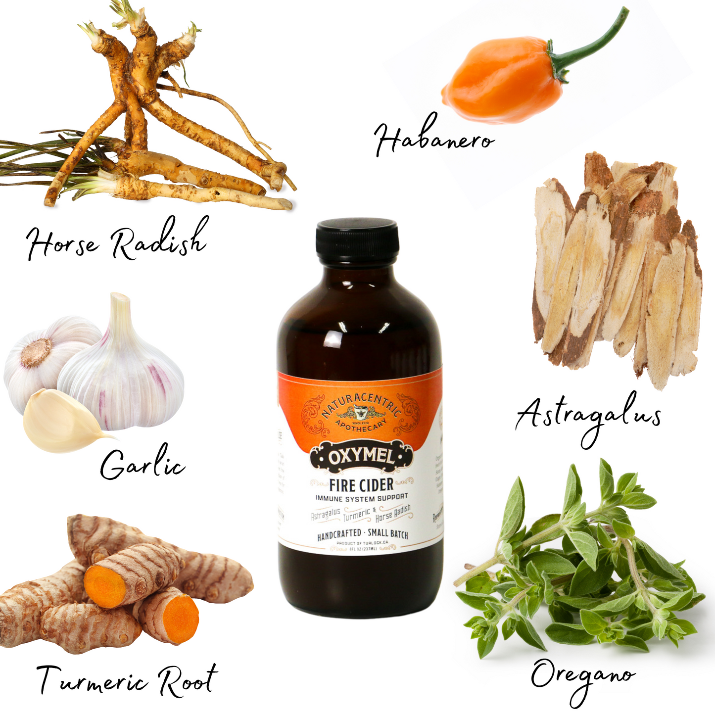 Fire Cider Oxymel - Concordia Style Boutique