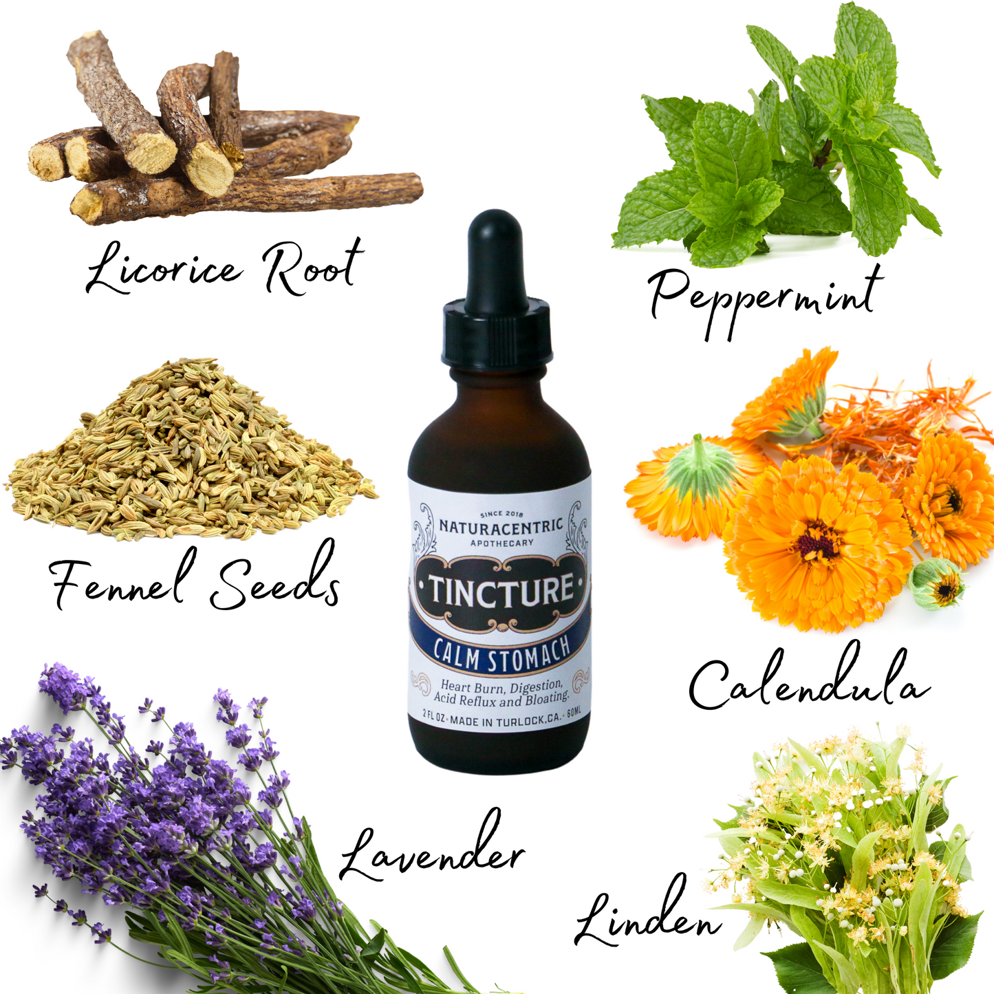 Calm Stomach Tincture - Concordia Style Boutique