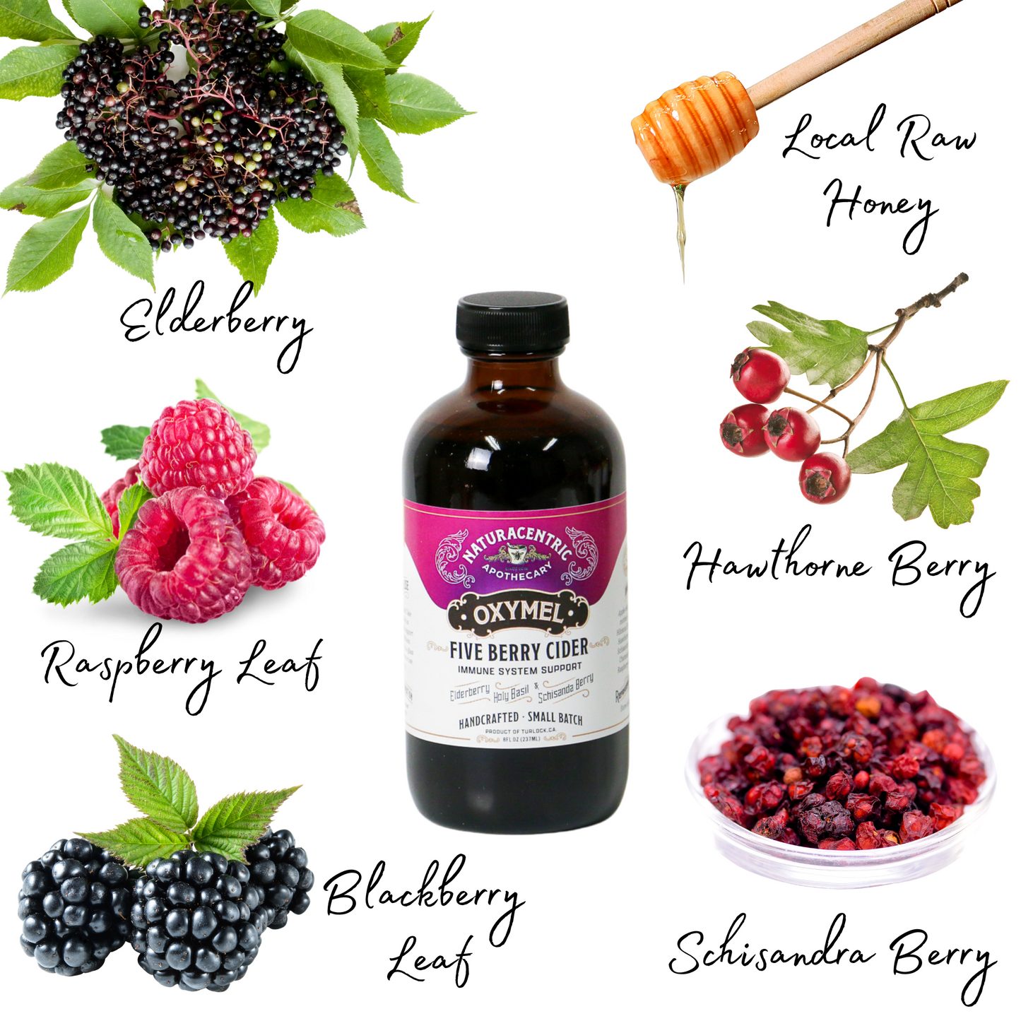 Five Berry Cider Oxymel - Concordia Style Boutique