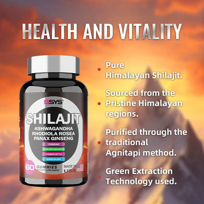 BSYS 8IN1 SHILAJIT GUMMIES (60) - Concordia Style Boutique