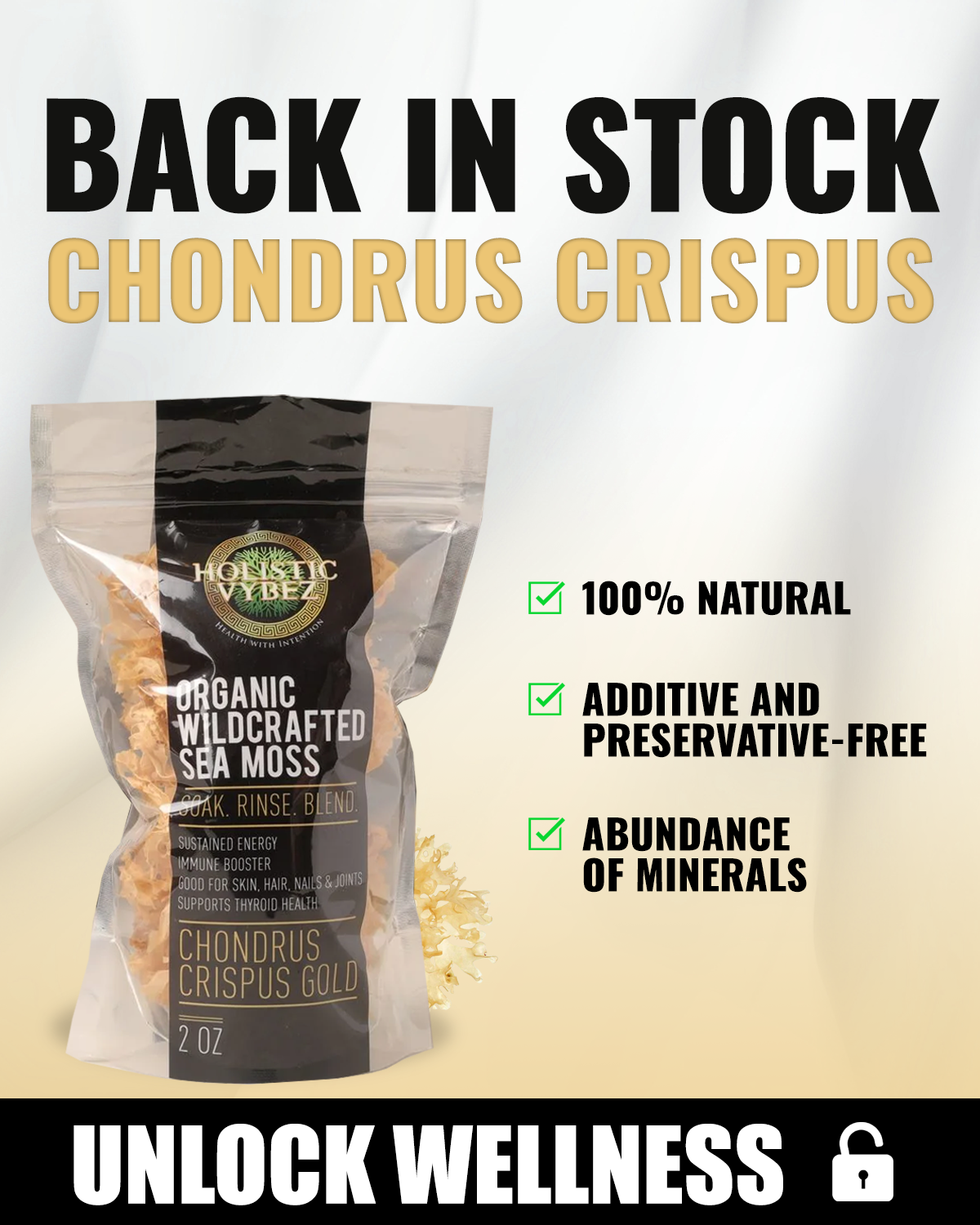 Chondrus Crispus