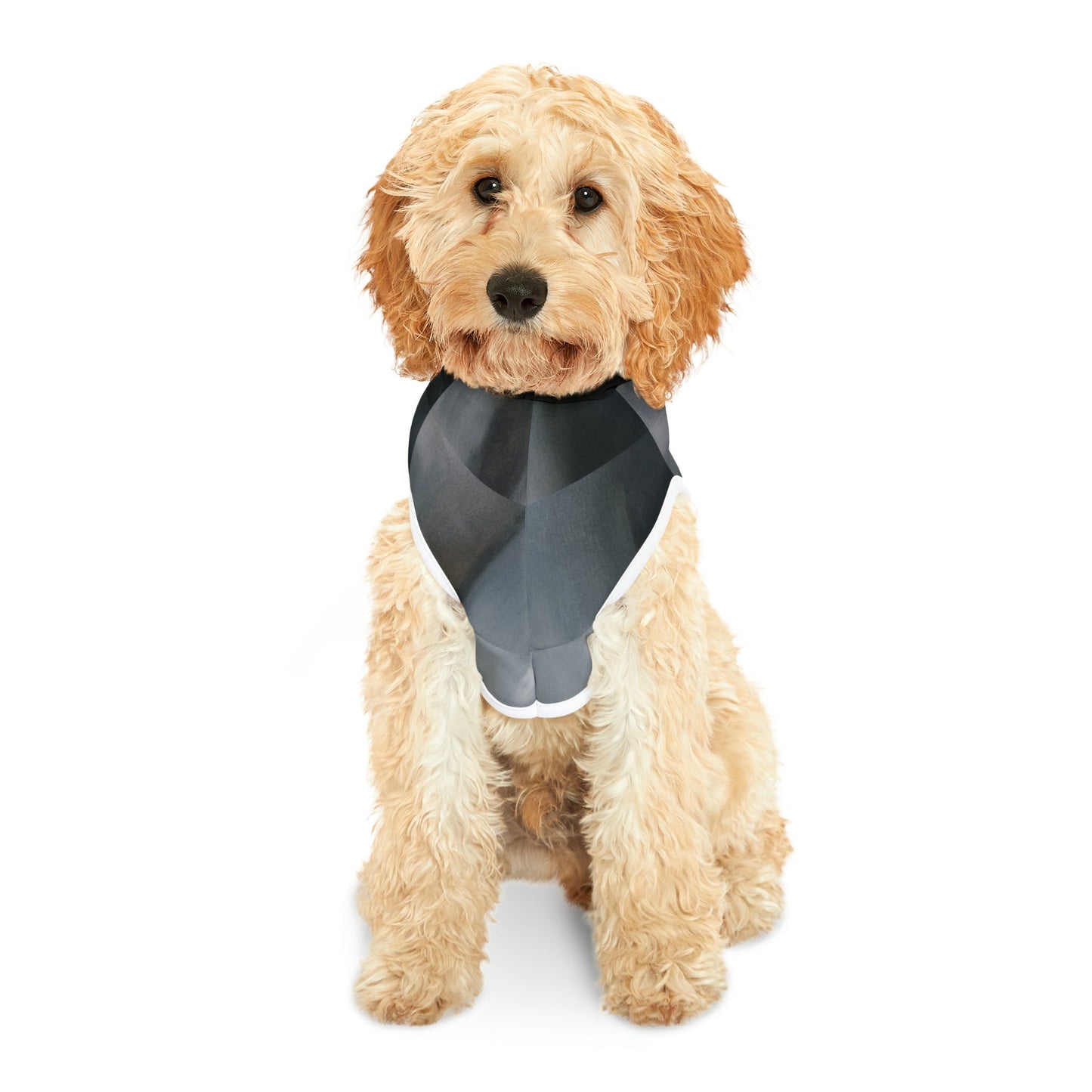 Pet Hoodie - The Alien - Concordia Style Boutique