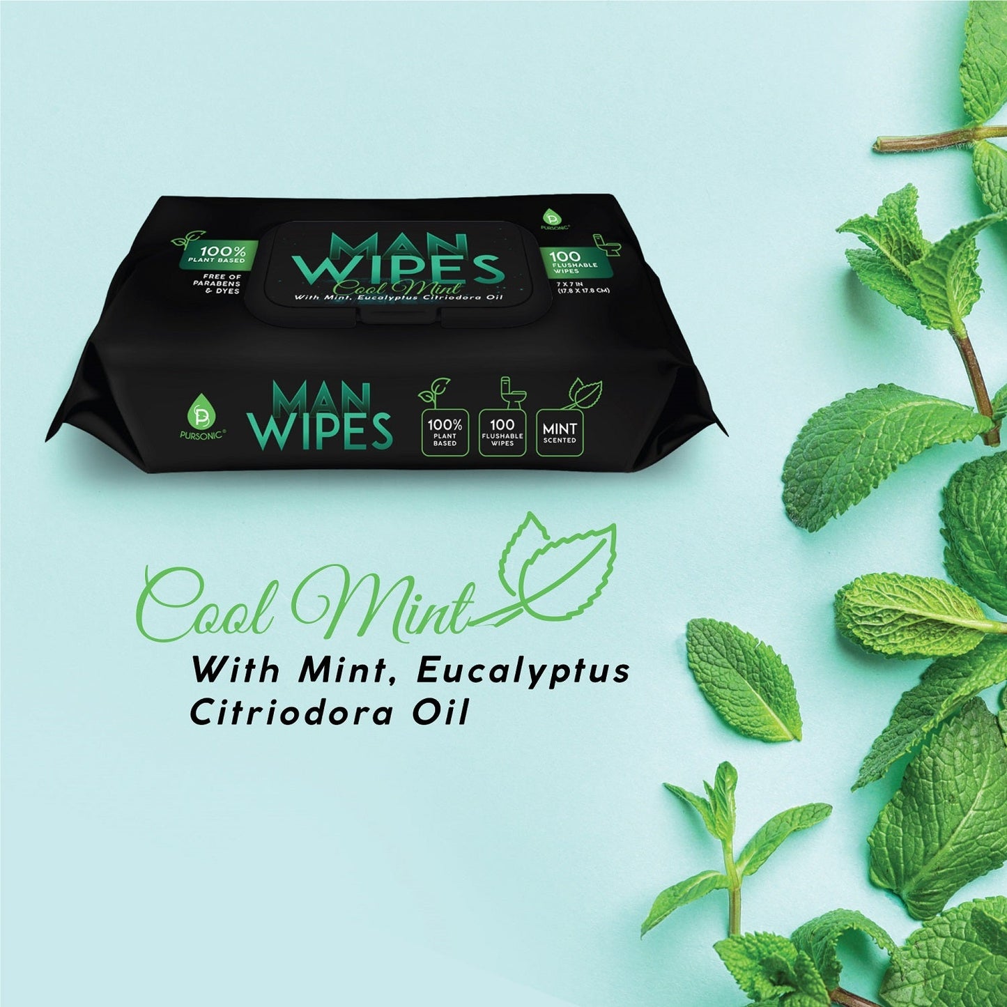12 Pack of Flushable Man Wipes (1200 Mint Scented Wipes) - Concordia Style Boutique