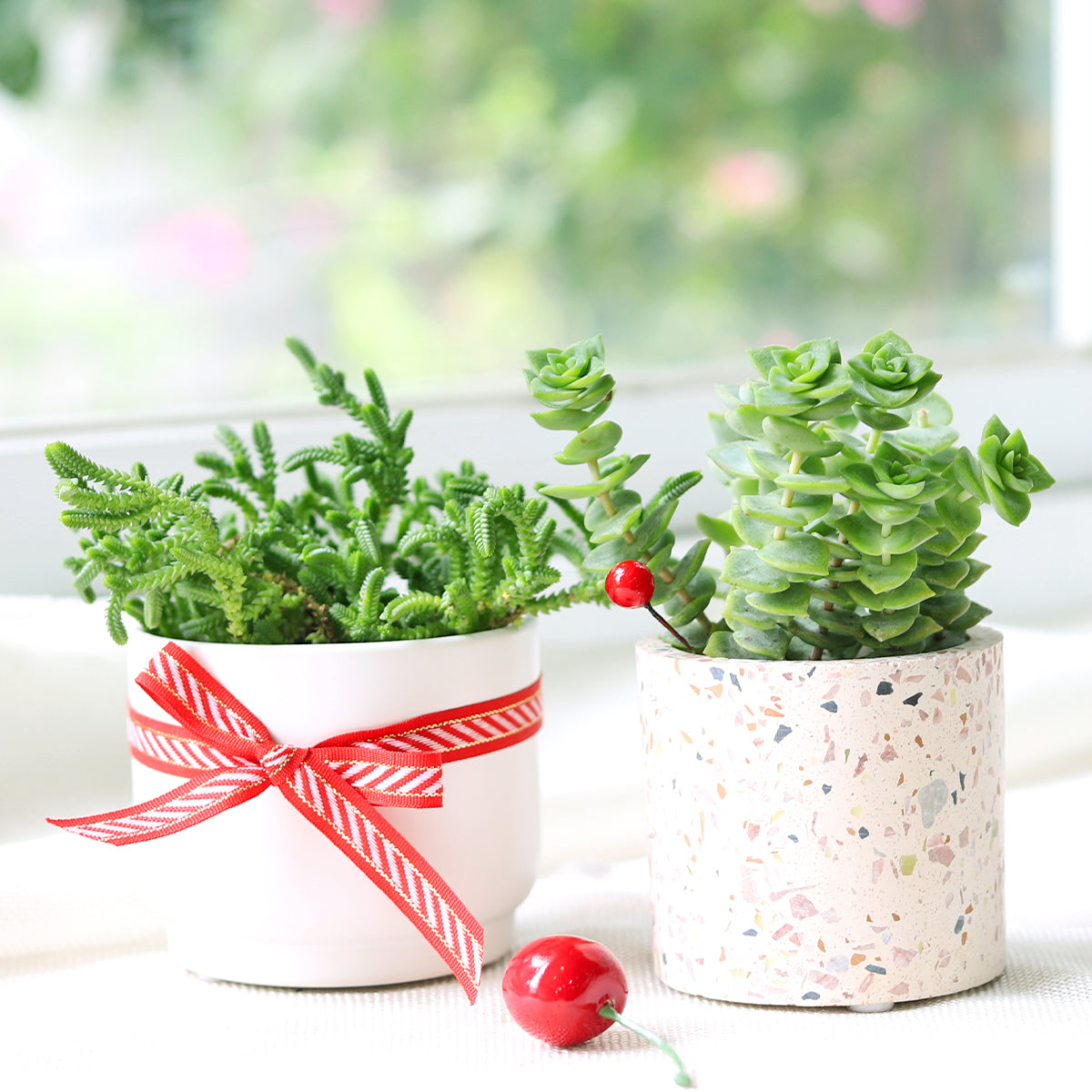 Terrazzo Pot