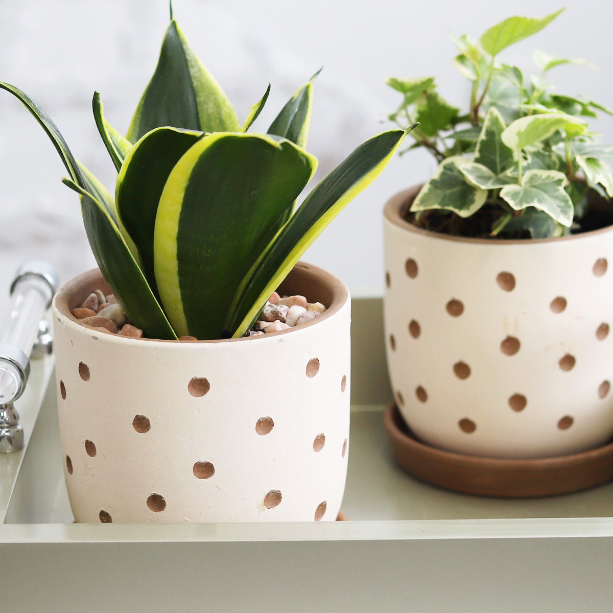 Clay White Polka Dot Pattern Pot