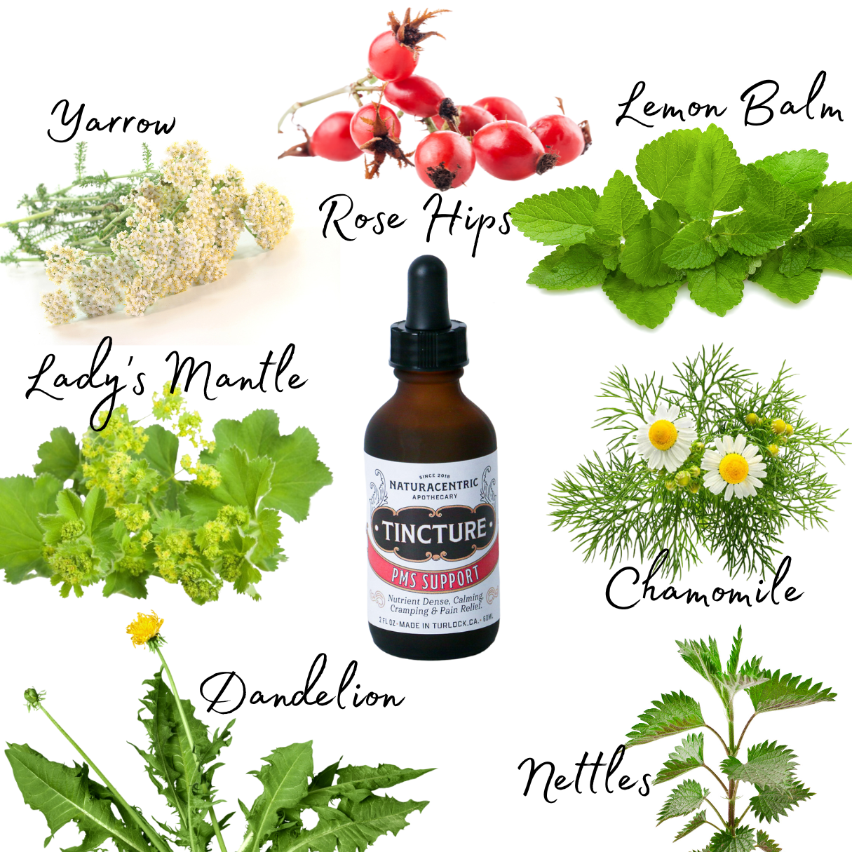 PMS Support Tincture - Concordia Style Boutique