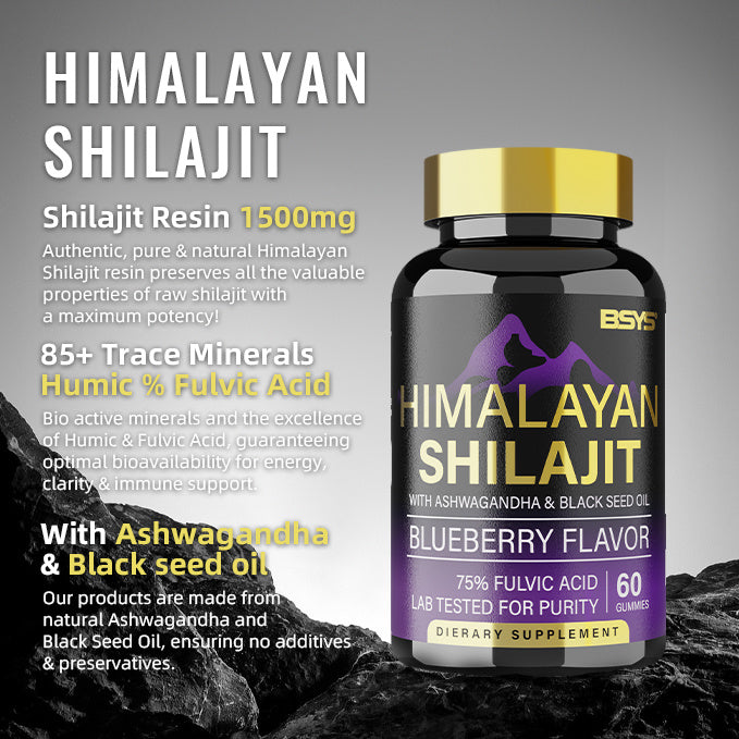 BSYS SHILAJIT GUMMIES (60) - Concordia Style Boutique