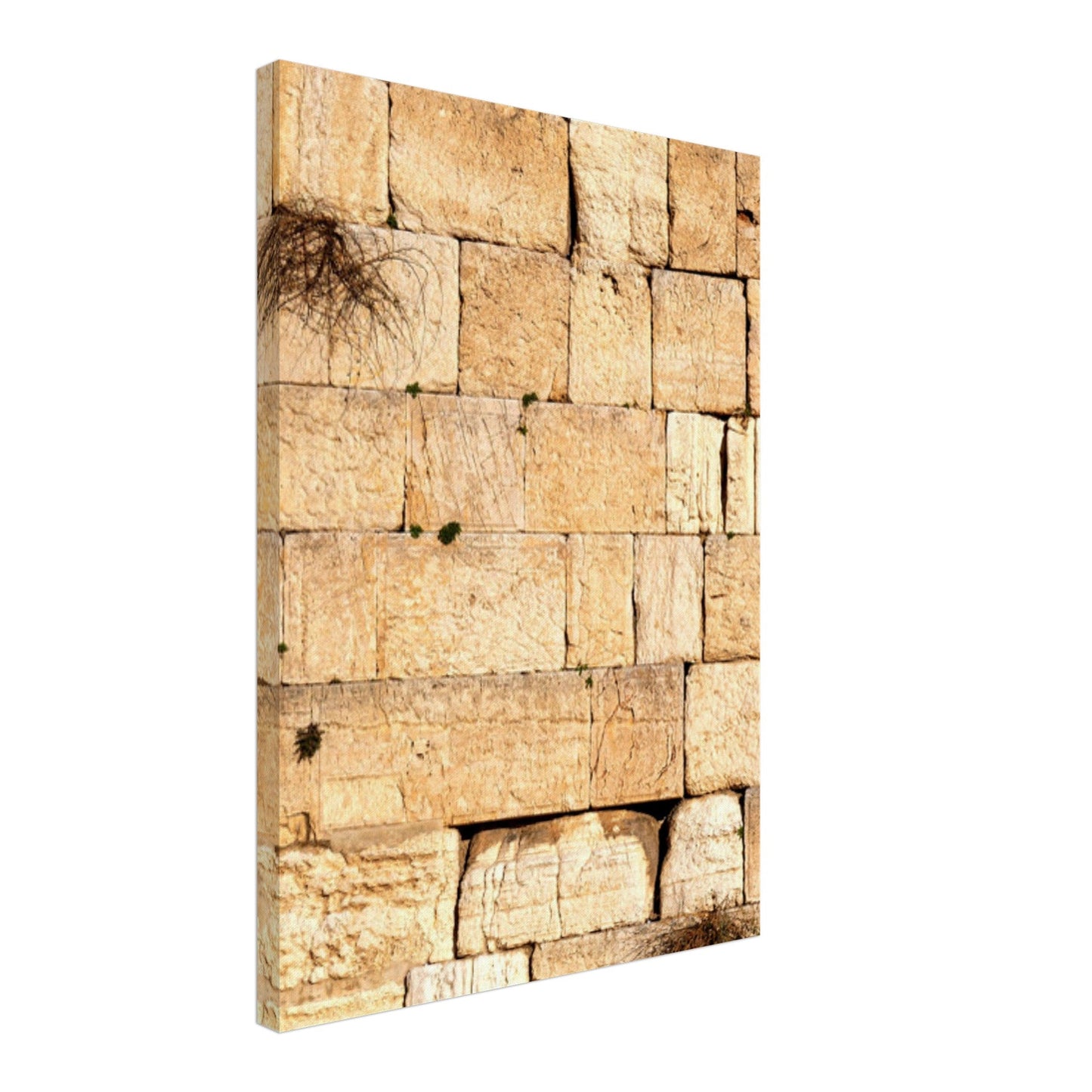 The Western Wall Brick Canvas Print