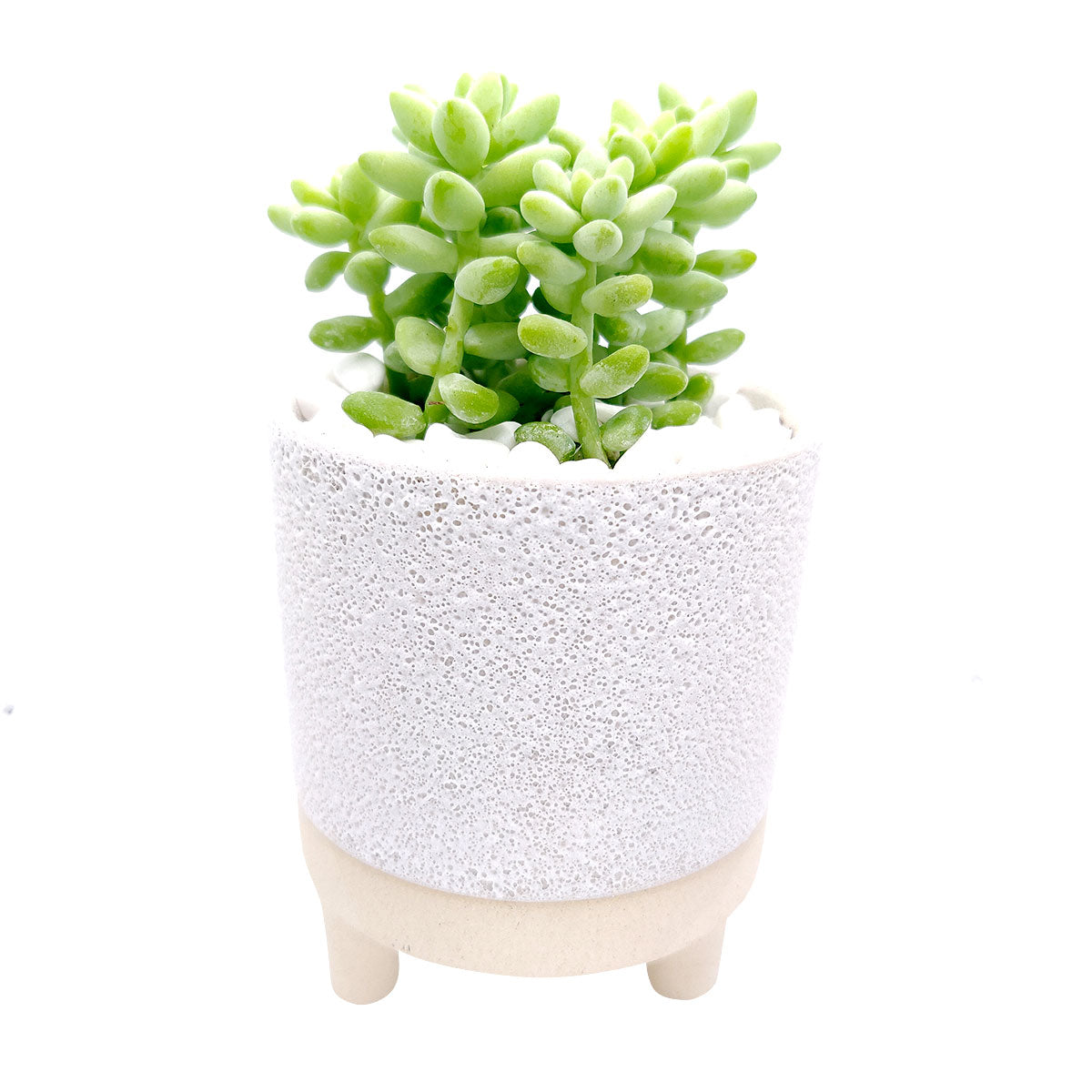 4 inch Footed Pot