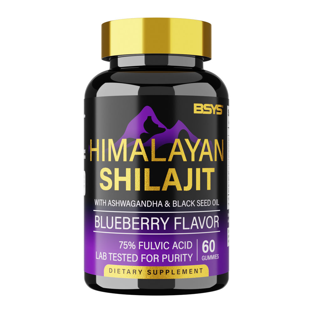BSYS SHILAJIT GUMMIES (60) - Concordia Style Boutique