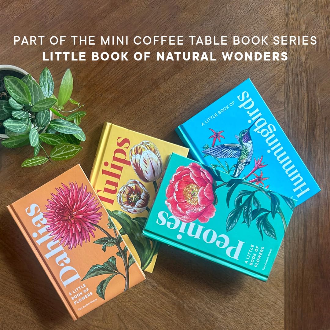 Little Book of Hummingbirds