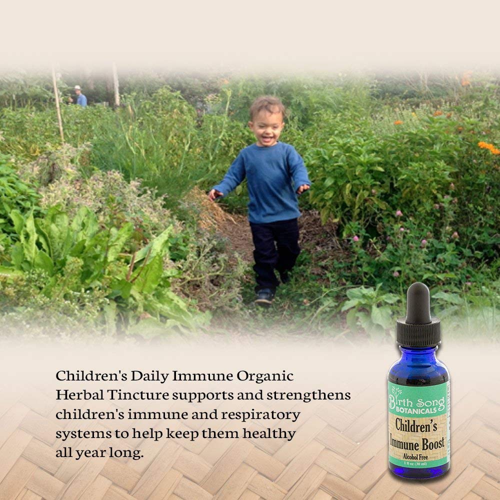 Children's Immune Booster Tincture* with Organic Echinacea 1 oz. - Concordia Style Boutique