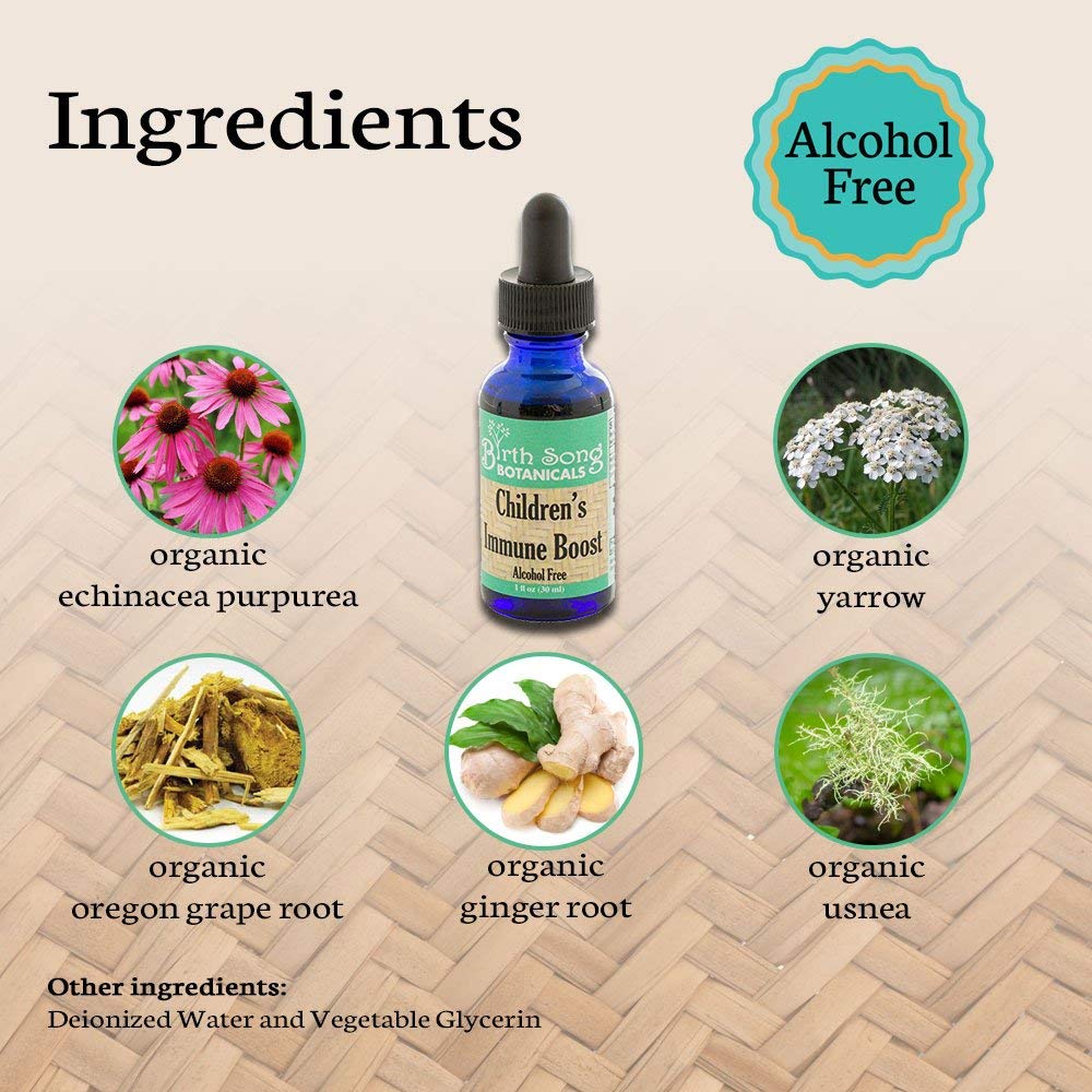 Children's Immune Booster Tincture* with Organic Echinacea 1 oz. - Concordia Style Boutique