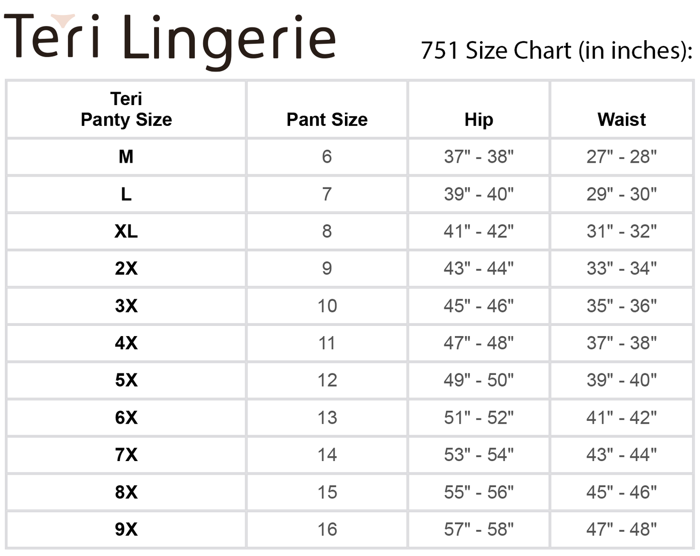 Kathryn Light Tummy Control Microfiber Brief (Style 751) - Concordia Style Boutique