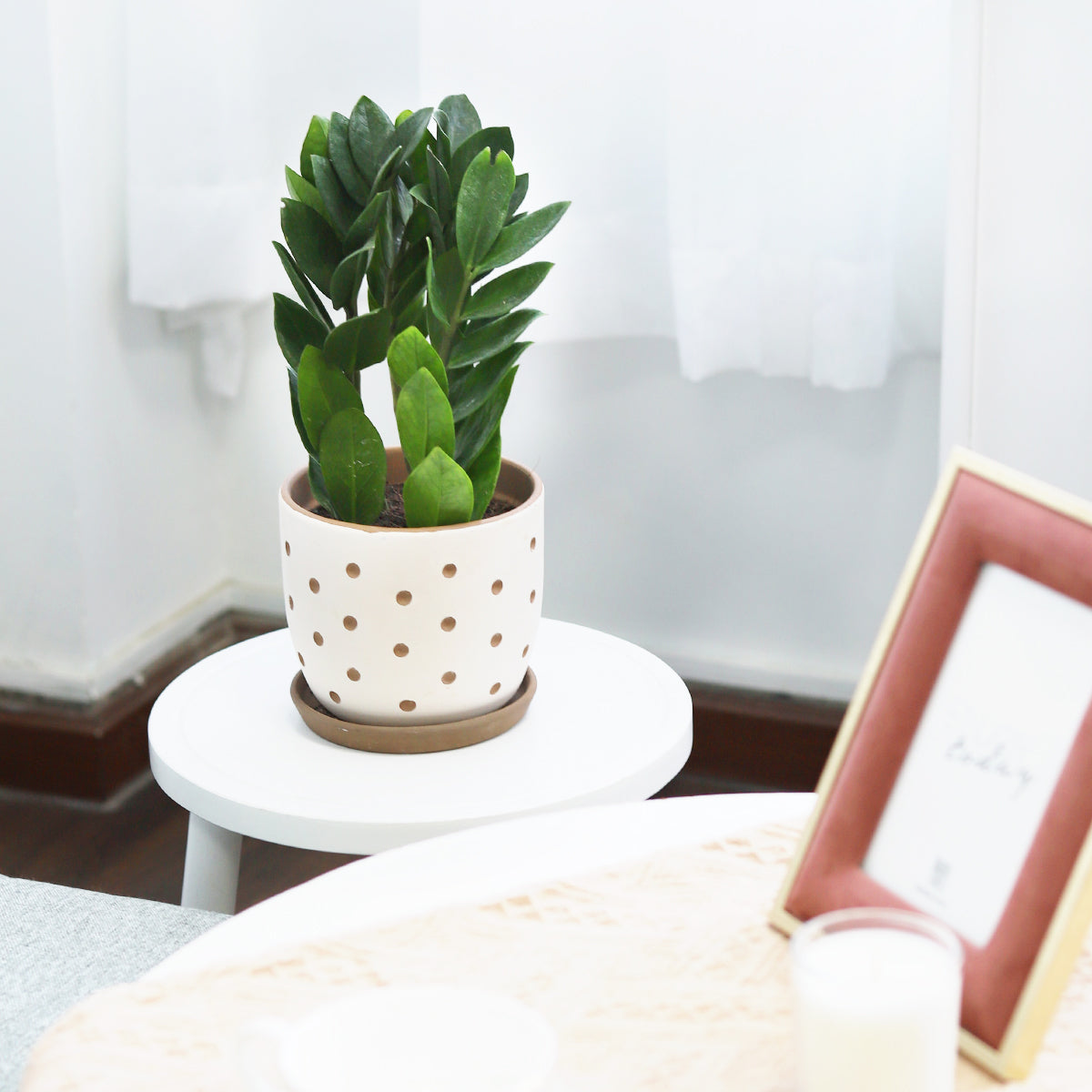 Clay White Polka Dot Pattern Pot