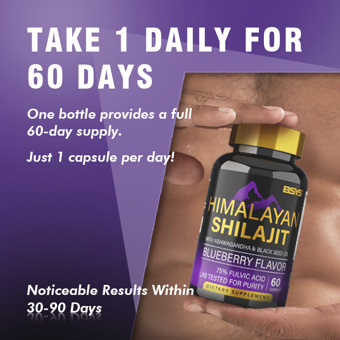 BSYS SHILAJIT GUMMIES (60) - Concordia Style Boutique