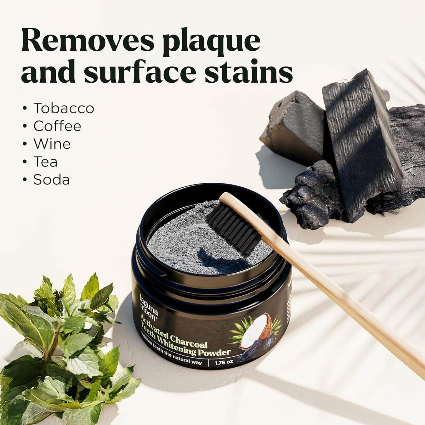 Teeth Whitening Powder, 50 g Bright Pearl Spearmint Flavor and Charcoal - Natural Teeth Whitening, Teeth Polish & Teeth Stain Remover - Alternative to Toothpaste, Tooth Powder for Sensitive Teeth & Freshens Breath - Concordia Style Boutique