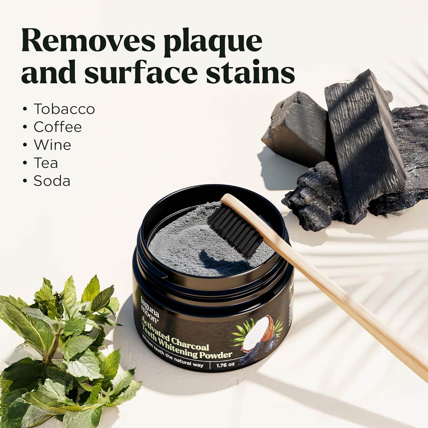 Teeth Whitening Powder, 50 g Bright Pearl Spearmint Flavor and Charcoal - Natural Teeth Whitening, Teeth Polish & Teeth Stain Remover - Alternative to Toothpaste, Tooth Powder for Sensitive Teeth & Freshens Breath - Concordia Style Boutique