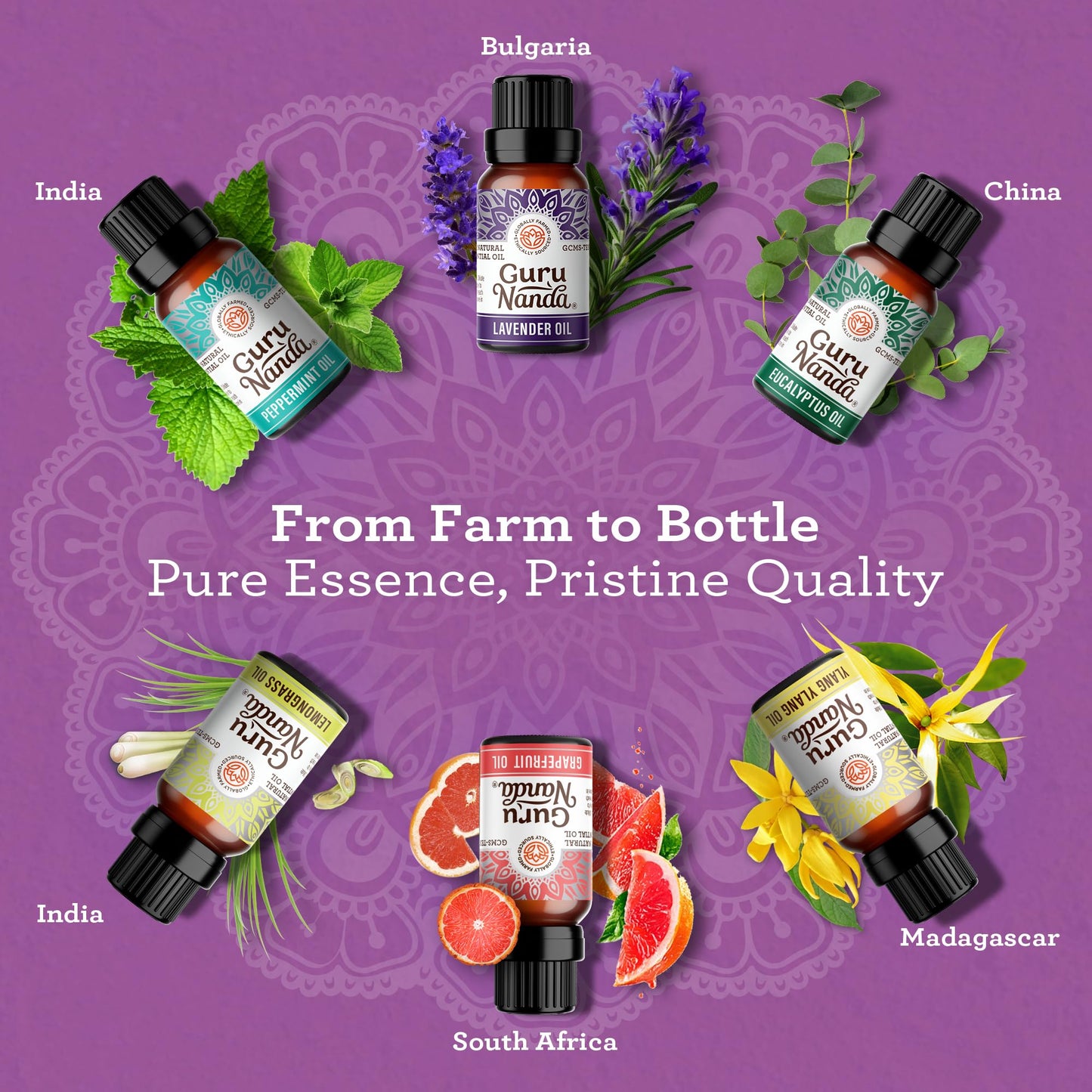 GuruNanda Essential Oil Blends (Set of 6) - Premium Essential Oil Blends from Concordia Style Boutique - Just $19.98! Shop now at Concordia Style Boutique