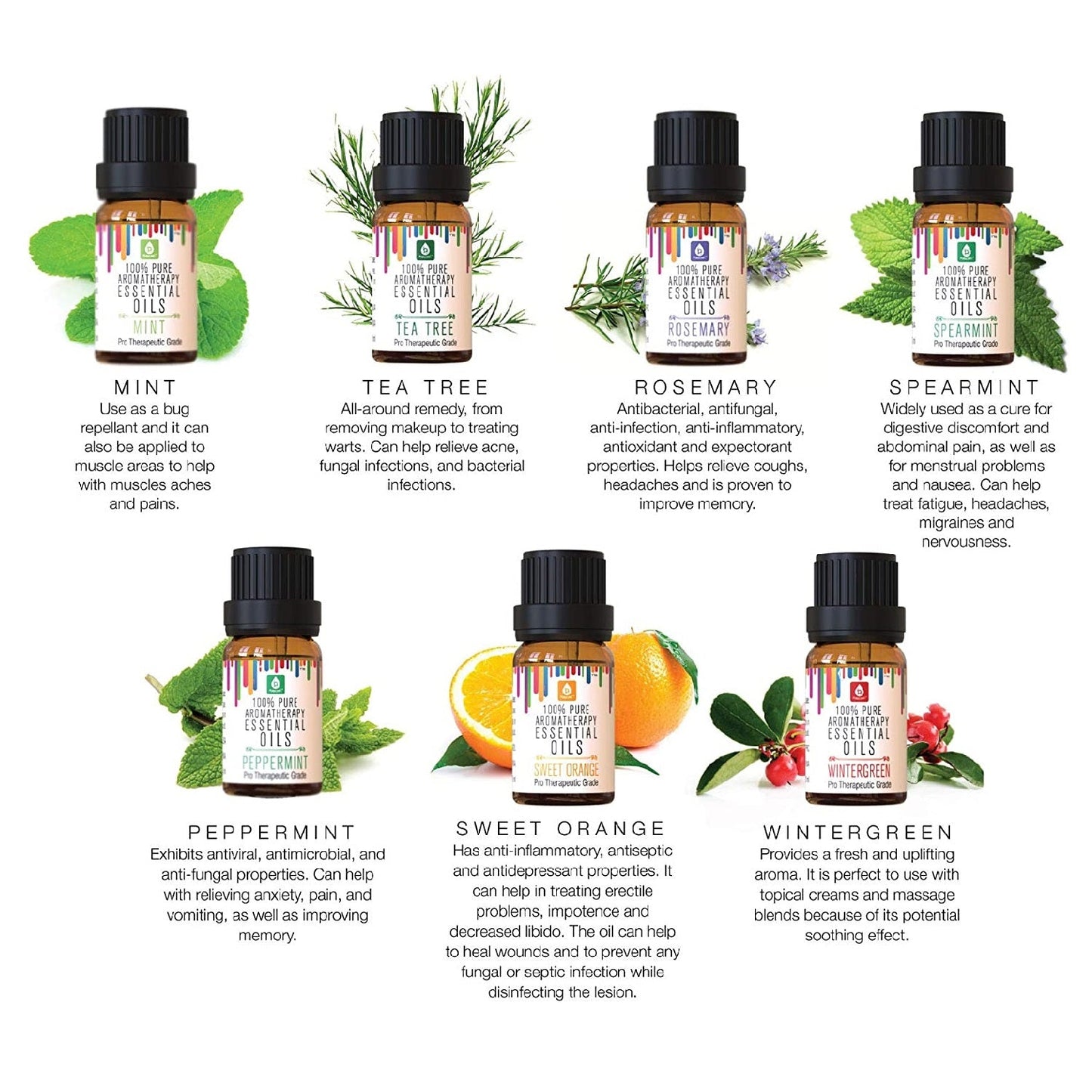14 Pack of 100% Pure Essential Aromatherapy Oils - Concordia Style Boutique
