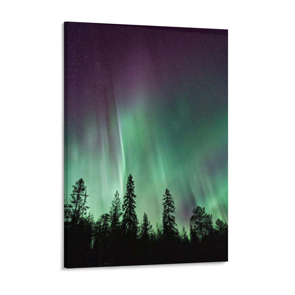 Canvas Print Multiple sizes Unframed & Framed (Vertical) - "Night Life" - Premium Artwork from Concordia Style Boutique - Just $55.98! Shop now at Concordia Style Boutique