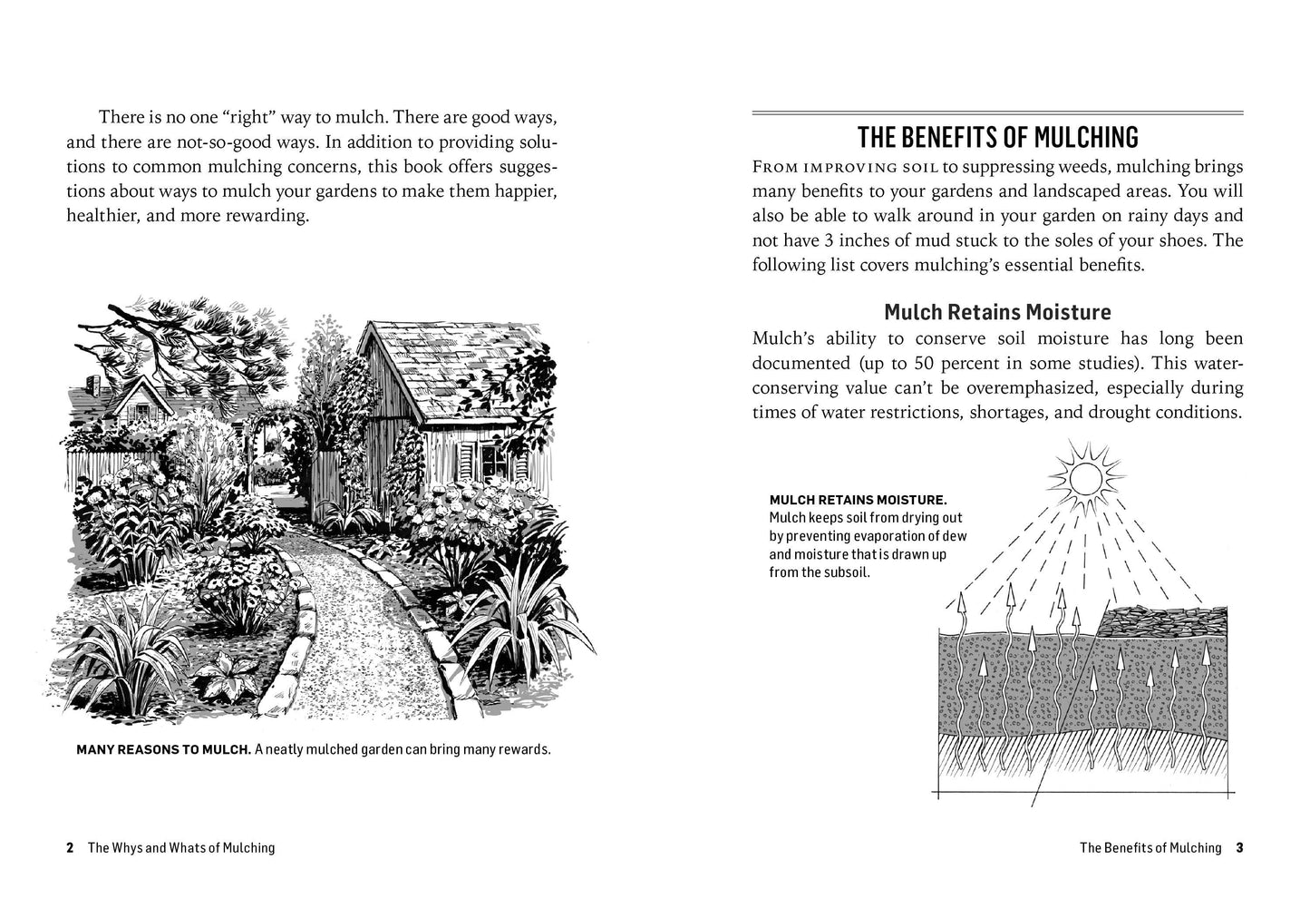 How to Mulch: Master the Art of Mulching for a Thriving Garden 🌿🌱🌻 - Concordia Style Boutique