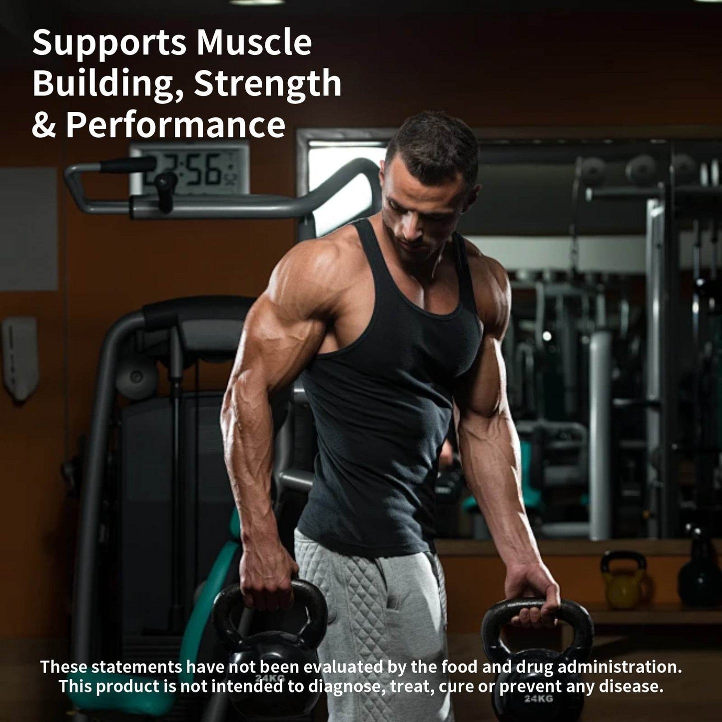 Creatine Monohydrate Capsules - Concordia Style Boutique