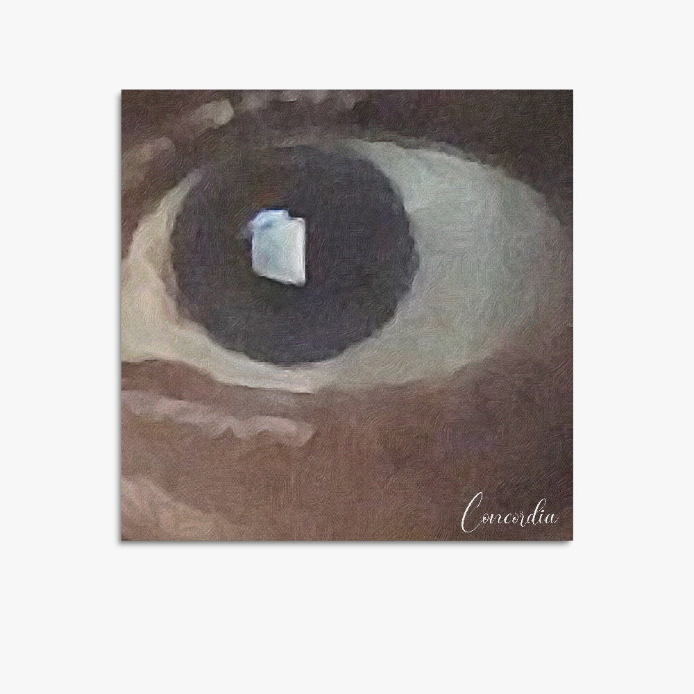 Square Unframed Canvas Prints - Eye - Concordia Style Boutique