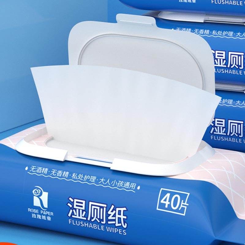 Biodegradable Toilet Cleaning Wet Towel - Concordia Style Boutique