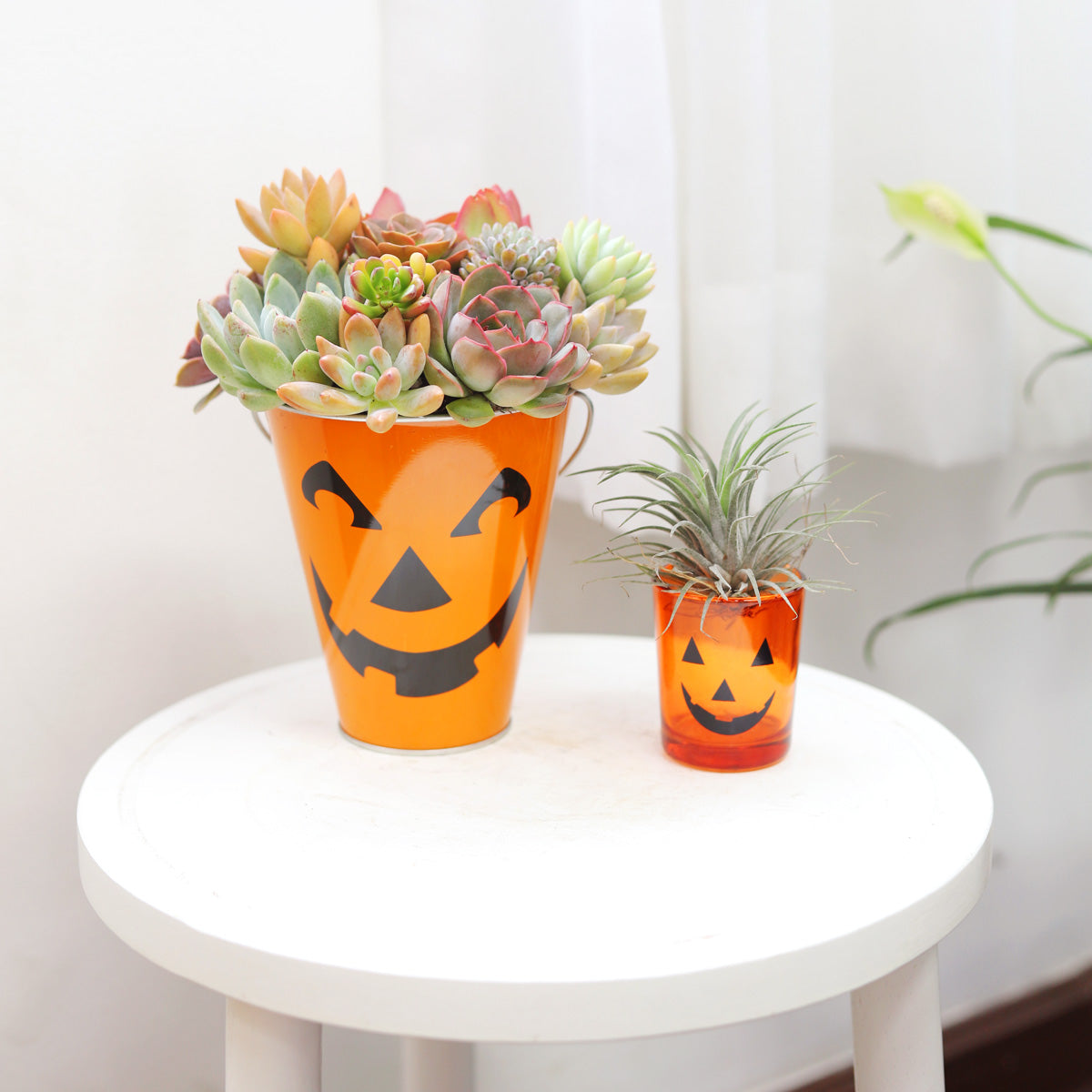 Jack-o'-lantern Halloween Pot