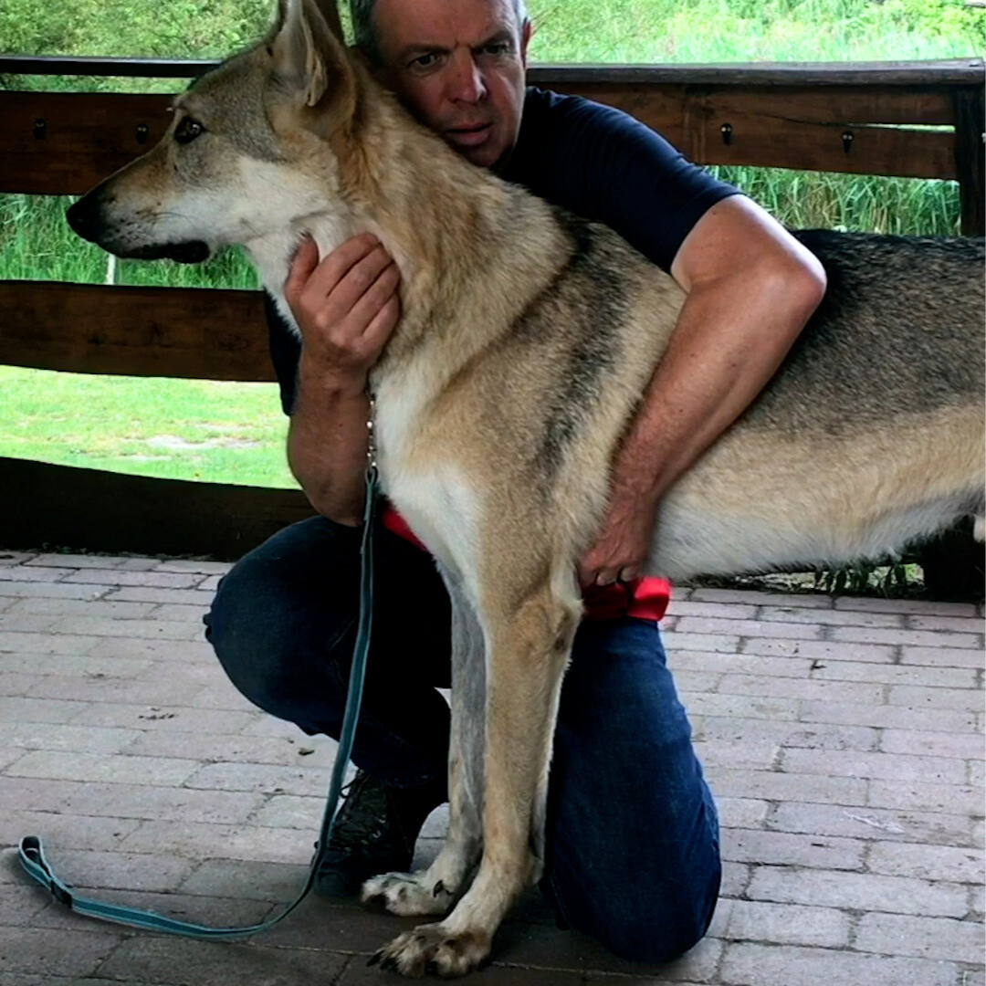 Trigger Point Therapy for Dogs (2.5 hrs) - Concordia Style Boutique