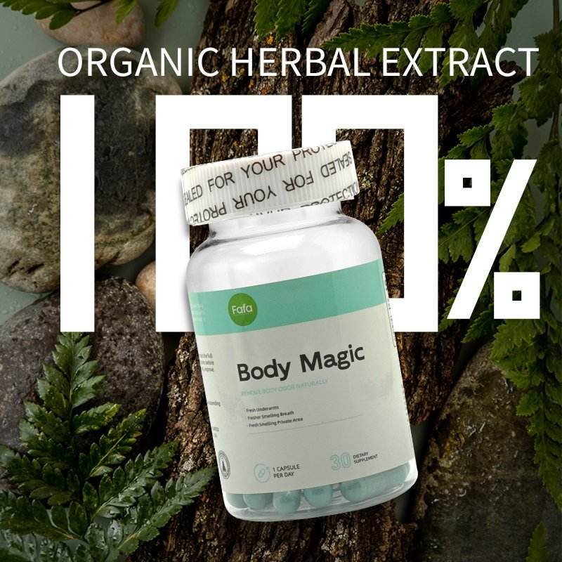 Deodorizing And Disinfection Capsules - Concordia Style Boutique