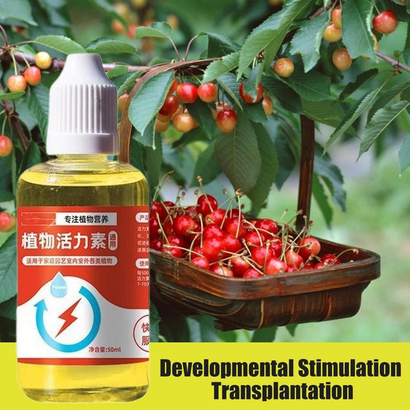 Plant Vitamins Universal Vitamins - Concordia Style Boutique