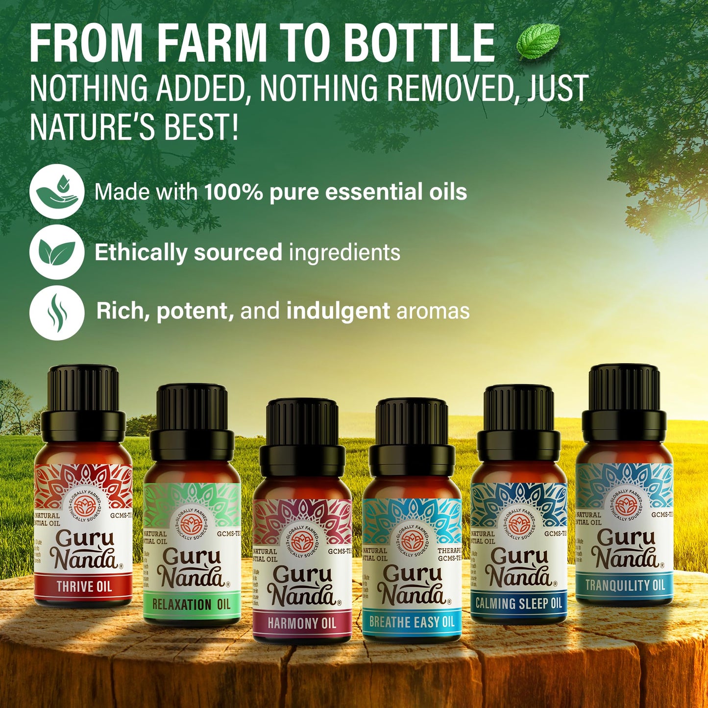 GuruNanda Essential Oil Blends (Set of 6) - Premium Essential Oil Blends from Concordia Style Boutique - Just $19.98! Shop now at Concordia Style Boutique