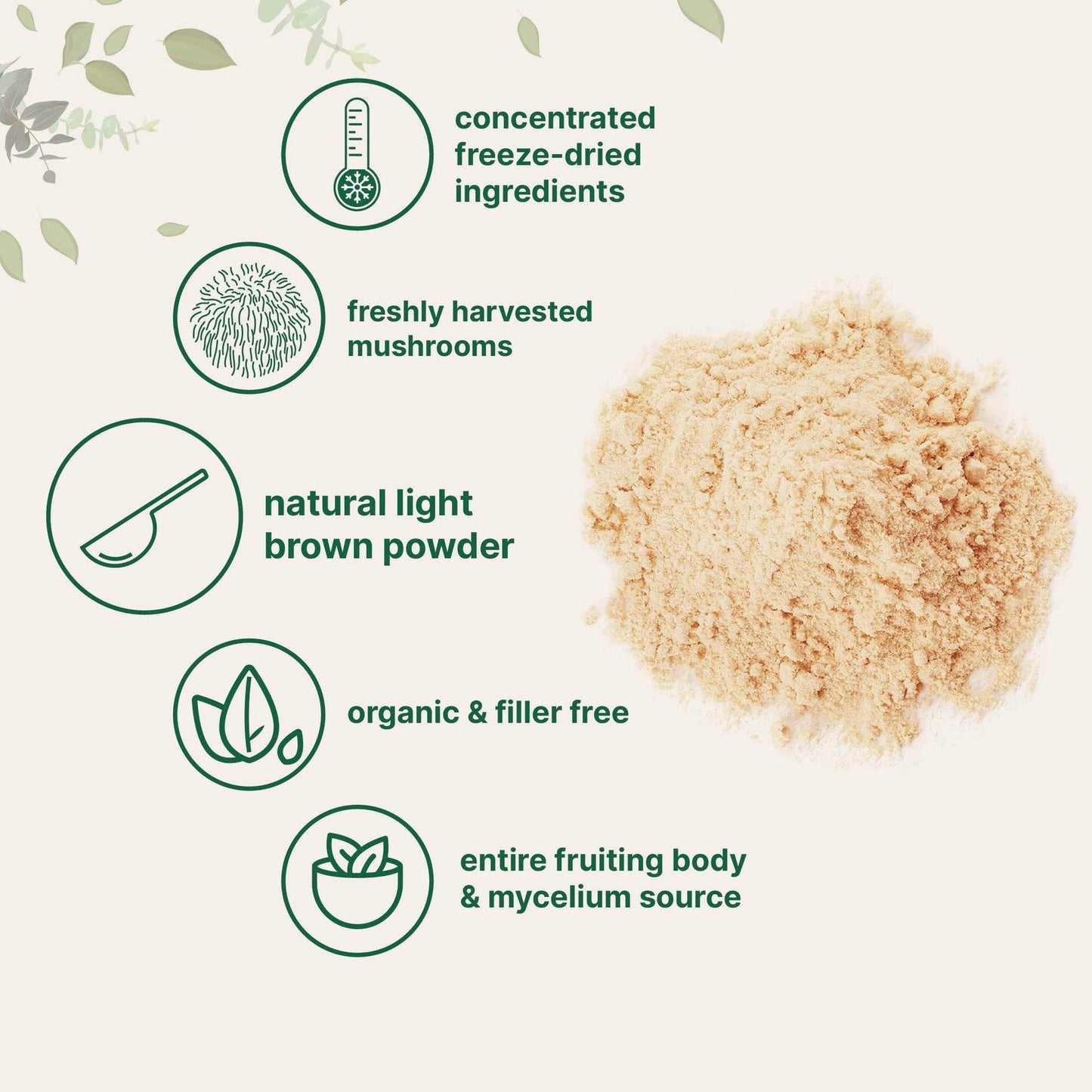 Lions Mane Mushroom Powder - Concordia Style Boutique