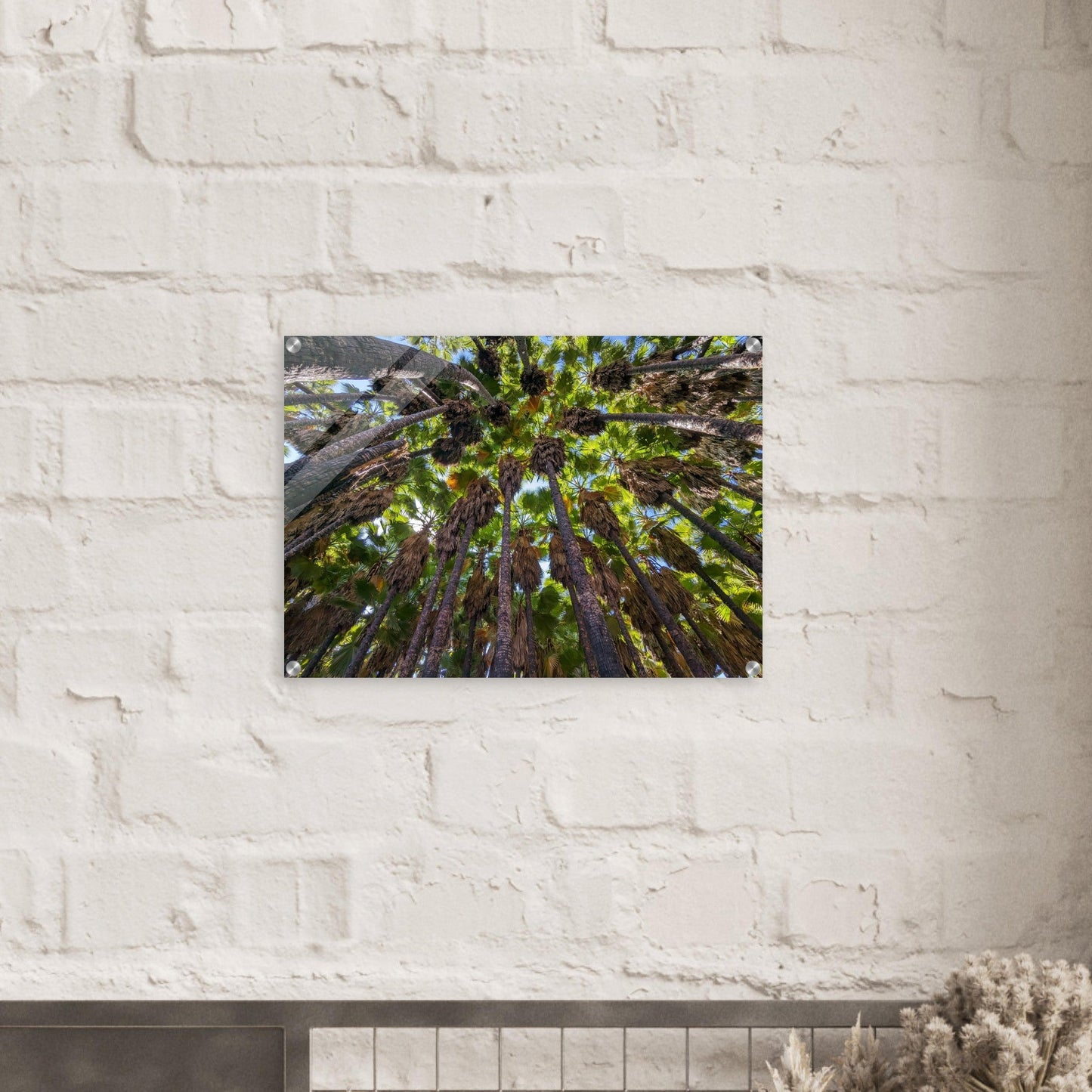 "Under the Canopy: Natural Wonder of Israel" Acrylic Print