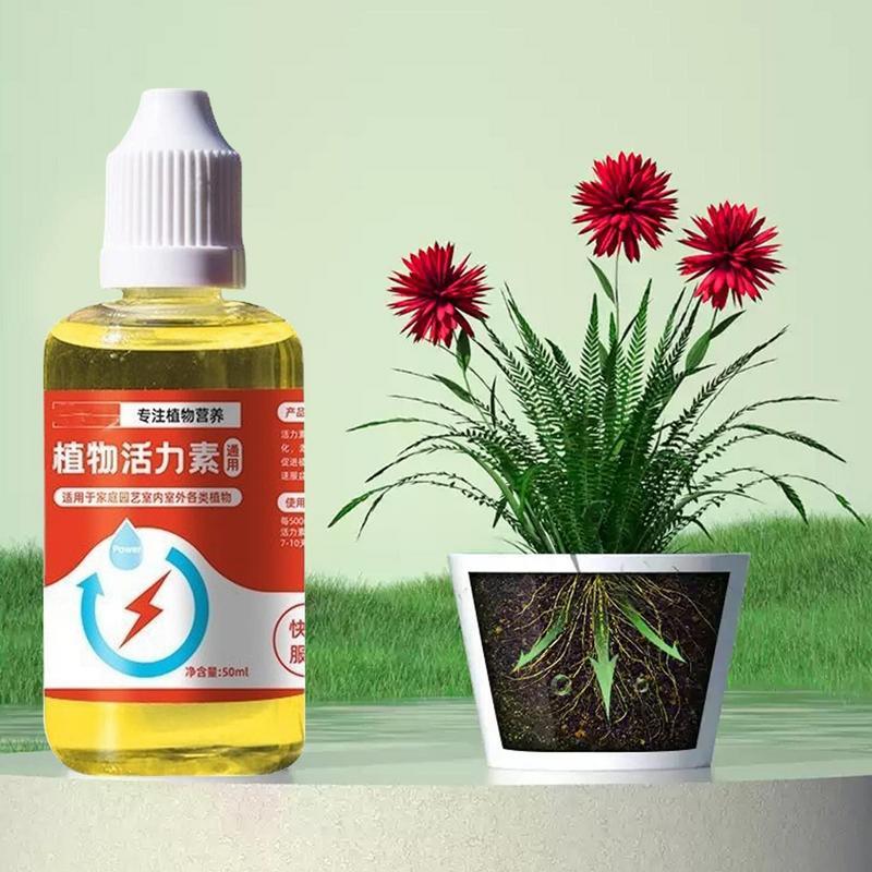Plant Vitamins Universal Vitamins - Concordia Style Boutique