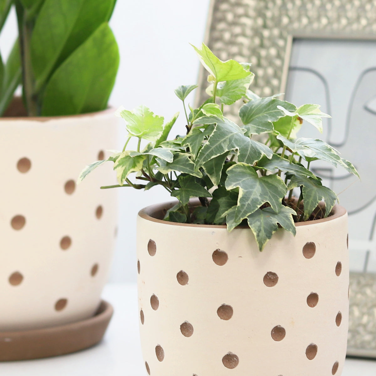 Clay White Polka Dot Pattern Pot